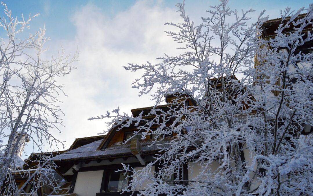 avantages louer appartement ski