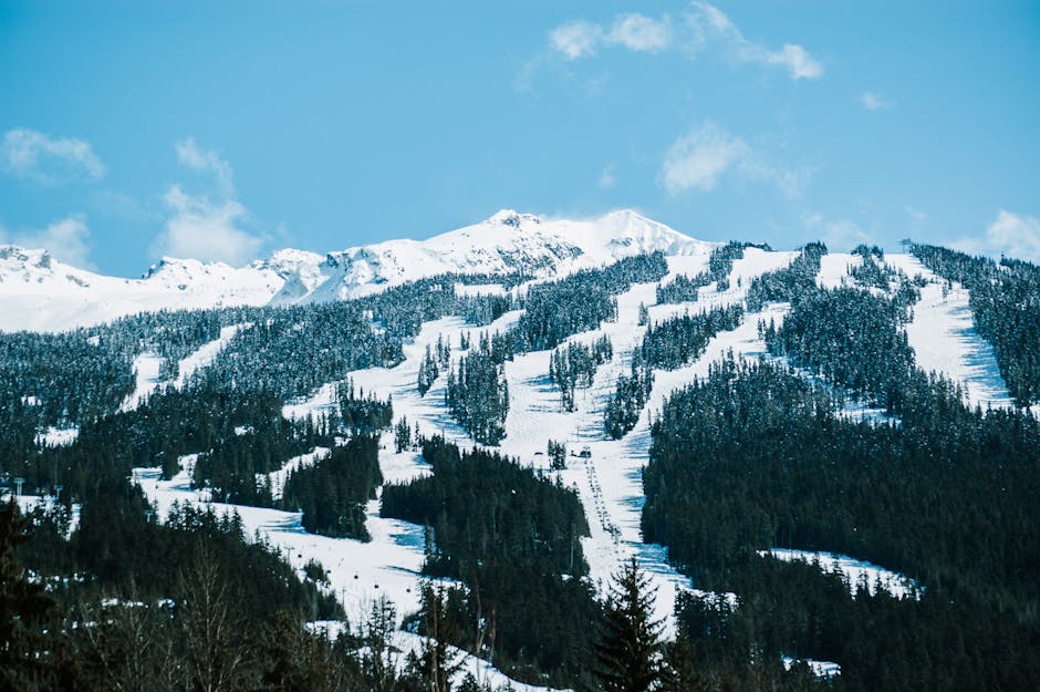 Trésors des Rocheuses canadiennes : Stations de ski à découvrir