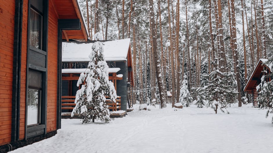 Nouvelle-Zélande stations de ski